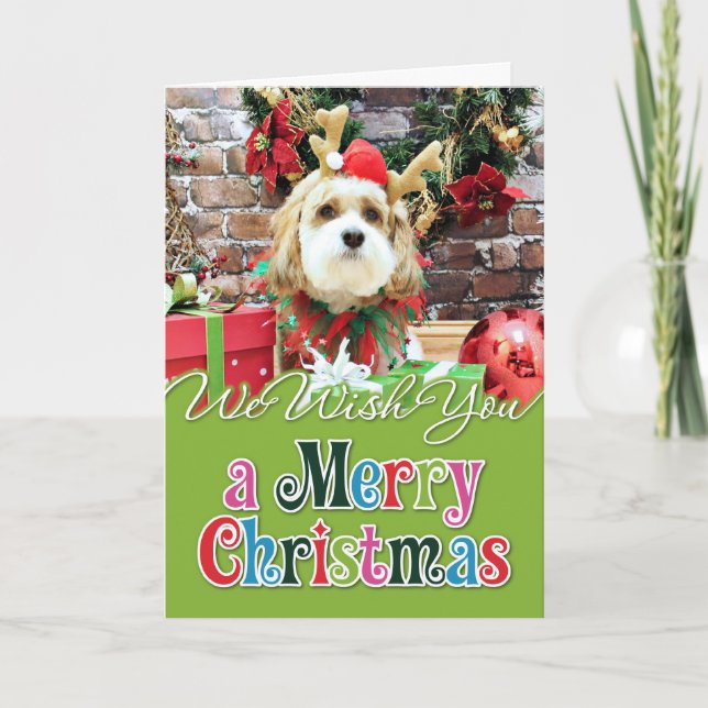 Tarjeta Festiva Navidades - Cavachon - Max (Anverso)