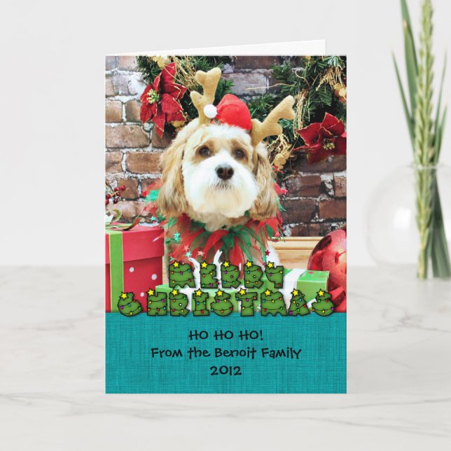 Tarjeta Festiva Navidades - Cavachon - Max (Anverso)