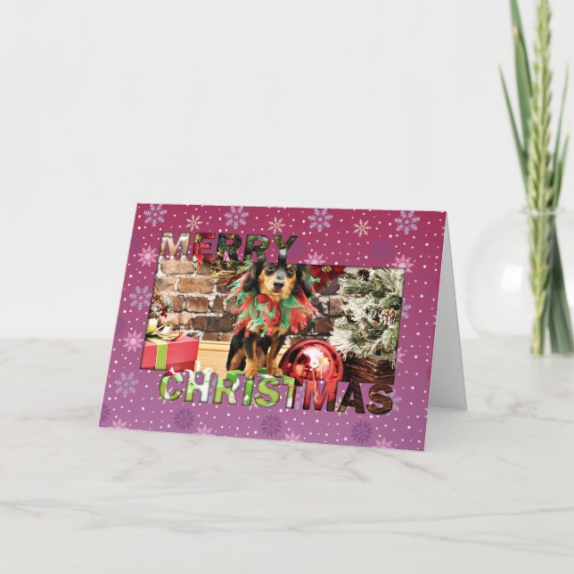 Tarjeta Festiva Navidades - Chiweenie - Titus (Anverso)