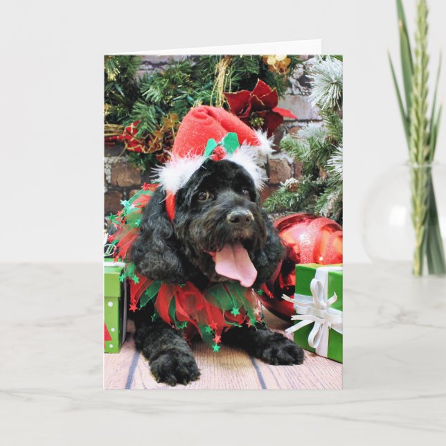 Tarjeta Festiva Navidades - Cockapoo - Jack (Anverso)