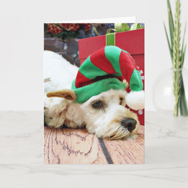 Tarjeta Festiva Navidades - Cockapoo - KC (Anverso)