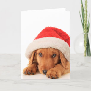 Tarjeta Festiva Navidades Con Un Sombrero
