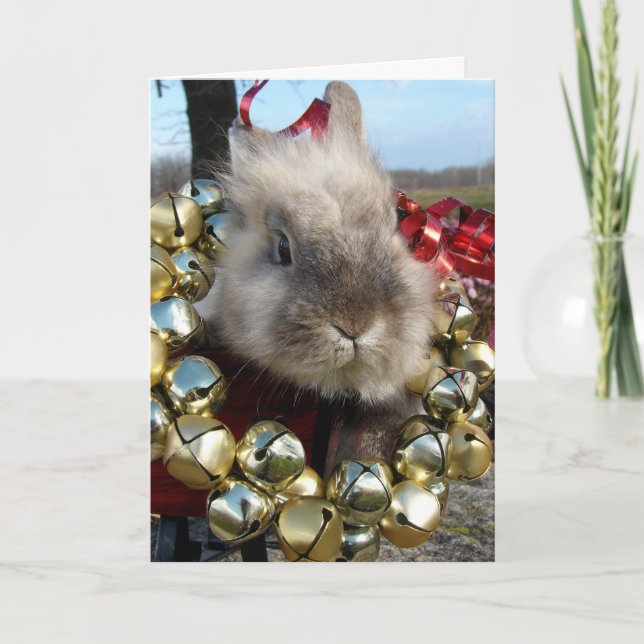 Tarjeta Festiva Navidades conejitas Gray Lionhead (Anverso)