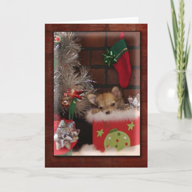 Tarjeta Festiva Navidades Cuelgan Cachorro Chihuahua En Caja (Anverso)
