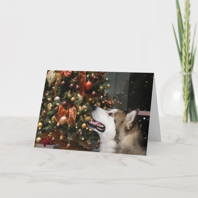 Tarjeta Festiva Navidades de Alaskan Malamute (Anverso)