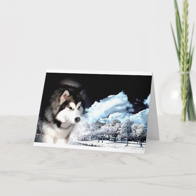 Tarjeta Festiva Navidades de Alaskan Malamute saludan (Anverso)