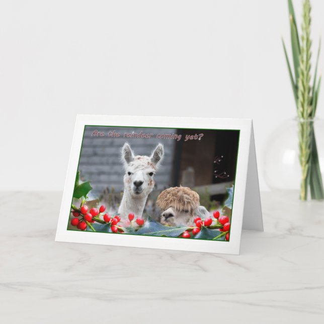 Tarjeta Festiva Navidades de Alpaca (Anverso)