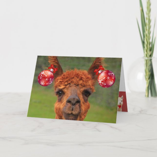 Tarjeta Festiva Navidades de amor de Llamas (Anverso)