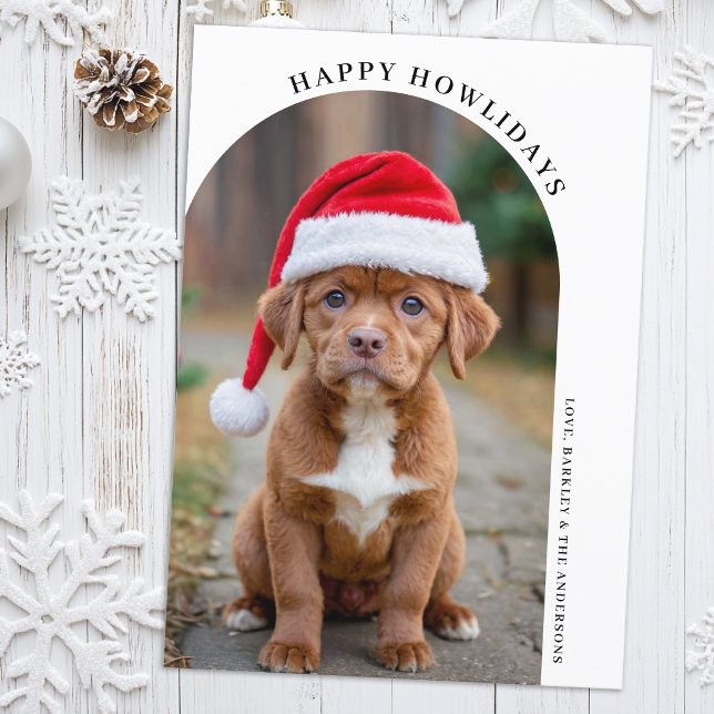 Tarjeta Festiva Navidades de arco simple Personalizado Mascota fot (Subido por el creador)