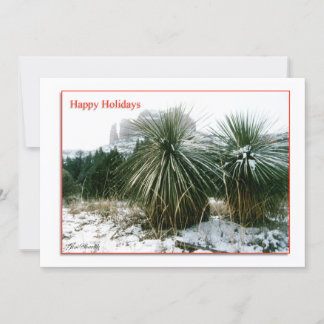 Tarjeta Festiva Navidades de Arizona