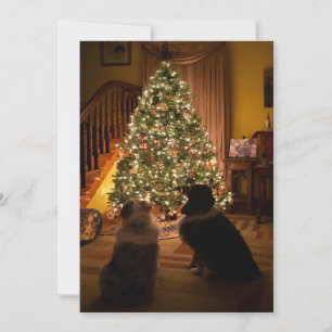 Tarjeta Festiva Navidades de Australia