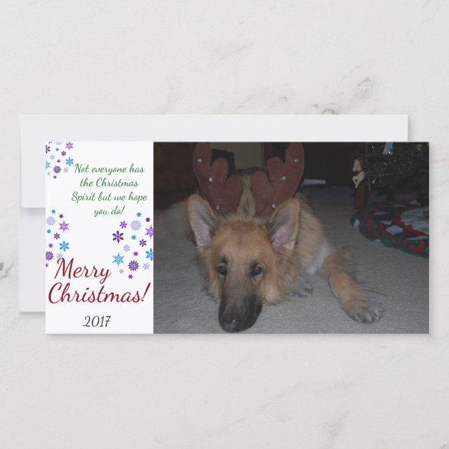 Tarjeta Festiva Navidades de Bah Humbug Card German Shepherd graci (Anverso)