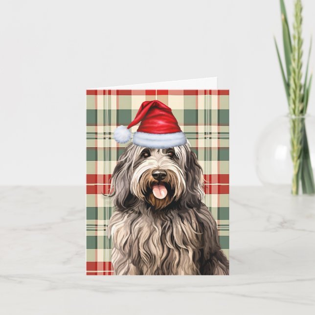 Tarjeta Festiva Navidades de Bergamasco Perro Holiday Plaid (Anverso)