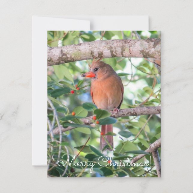 Tarjeta Festiva Navidades de Bernadette (Anverso)