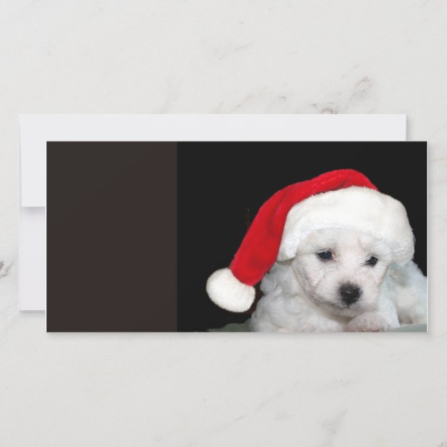 Tarjeta Festiva Navidades de Bichon Frise (Anverso)