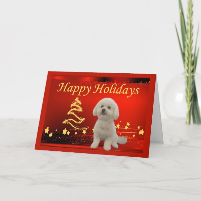 Tarjeta Festiva Navidades de Bichon Frise con estrellas (Anverso)
