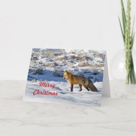 Tarjeta Festiva Navidades de bonito Fox Snow Photo