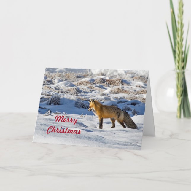Tarjeta Festiva Navidades de bonito Fox Snow Photo (Anverso)