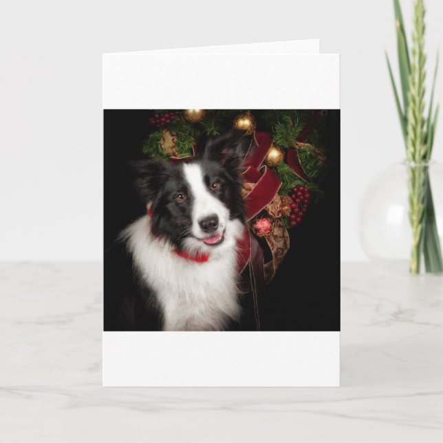 Tarjeta Festiva Navidades de Border Collie (Anverso)