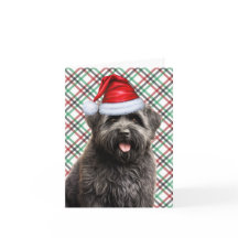 Navidades de Bouvier Perro Navidades de Plata Roja