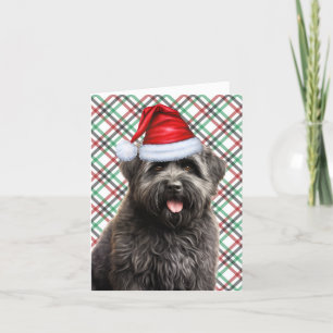 Tarjeta Festiva Navidades de Bouvier Perro Navidades de Plata Roja
