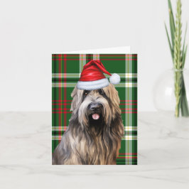 Tarjeta Festiva Navidades de Briard Perro Navidades de Green Plaid