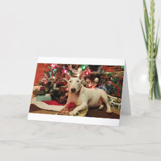 Tarjeta Festiva navidades de bull terrier