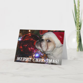 Tarjeta Festiva Navidades de Bulldog de Inglaterra
