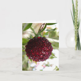 Tarjeta Festiva Navidades de Bush