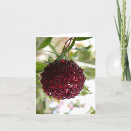 Tarjeta Festiva Navidades de Bush