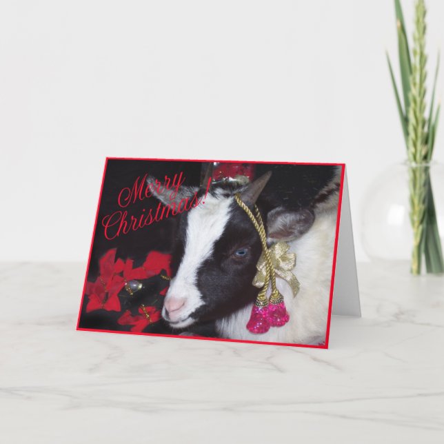 Tarjeta Festiva Navidades de cabra Card Rufus (Anverso)