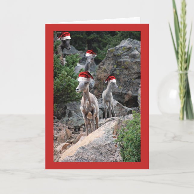 Tarjeta Festiva Navidades de cabras de montaña (Anverso)