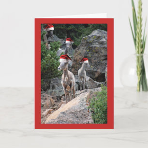 Tarjeta Festiva Navidades de cabras de montaña
