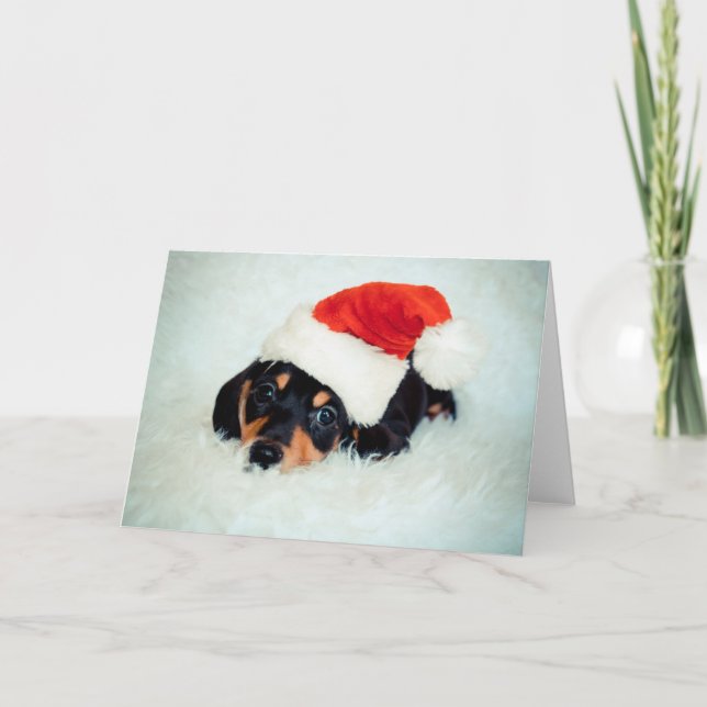 Tarjeta Festiva Navidades de Cachorros de Dachshund (Anverso)