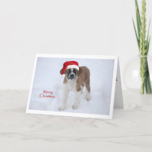 Tarjeta Festiva Navidades de Cachorros de San Bernardo