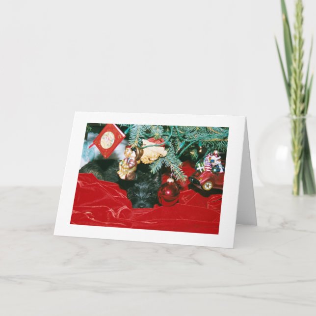 Tarjeta Festiva Navidades de Cairn (Anverso)