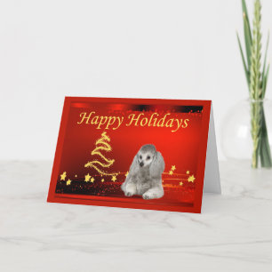Tarjeta Festiva Navidades de canapé con estrellas de cartas