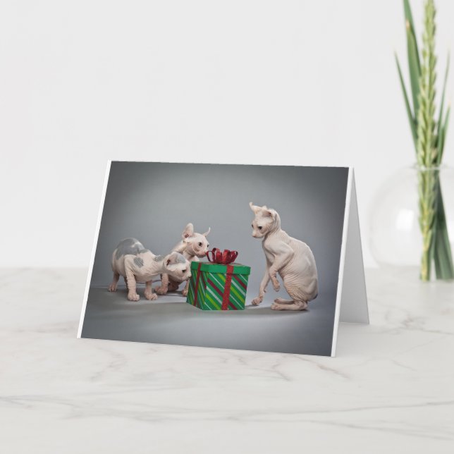 TARJETA FESTIVA NAVIDADES DE CAT SIN PELO (Anverso)