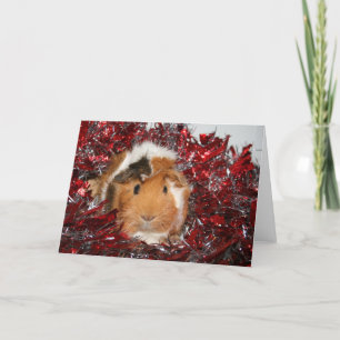 Tarjeta Festiva Navidades de cerdo de Guinea