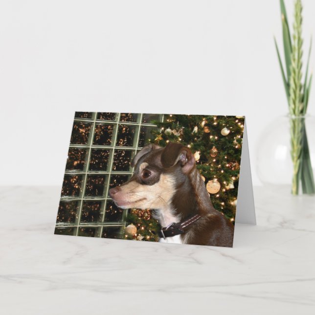 Tarjeta Festiva Navidades de Chihuahua (Anverso)