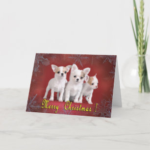 Tarjeta Festiva navidades de chihuahua
