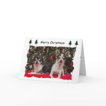 Navidades de Chihuahua