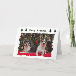 Tarjeta Festiva Navidades de Chihuahua