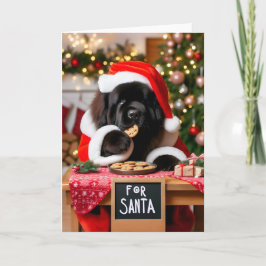 Tarjeta Festiva Navidades de cocina de perros de Terranova Santa