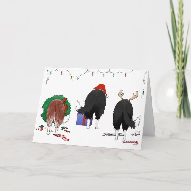Tarjeta Festiva Navidades de Collie Fronteriza (Anverso)