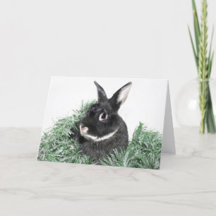 Tarjeta Festiva Navidades de conejo conejo