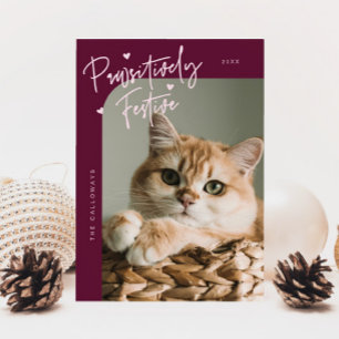 Tarjeta Festiva Navidades de Cranberry, foto de un gato festivo