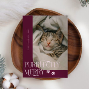 Tarjeta Festiva Navidades de Cranberry, una foto de un gato