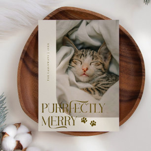 Tarjeta Festiva Navidades de Crema de Fotos para Gatos De Cerezo P