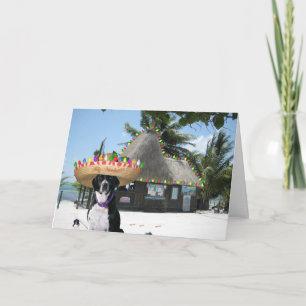 Tarjeta Festiva Navidades de Crisie